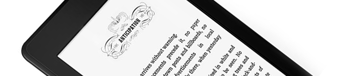 Amazon Kindle Paperwhite | 3G Cases